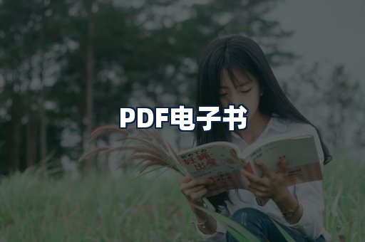 PDF电子书